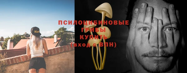 трава Богородицк