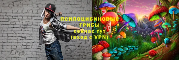 крисы Баксан