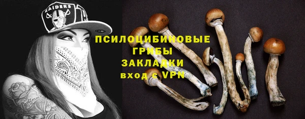 шишки Балабаново